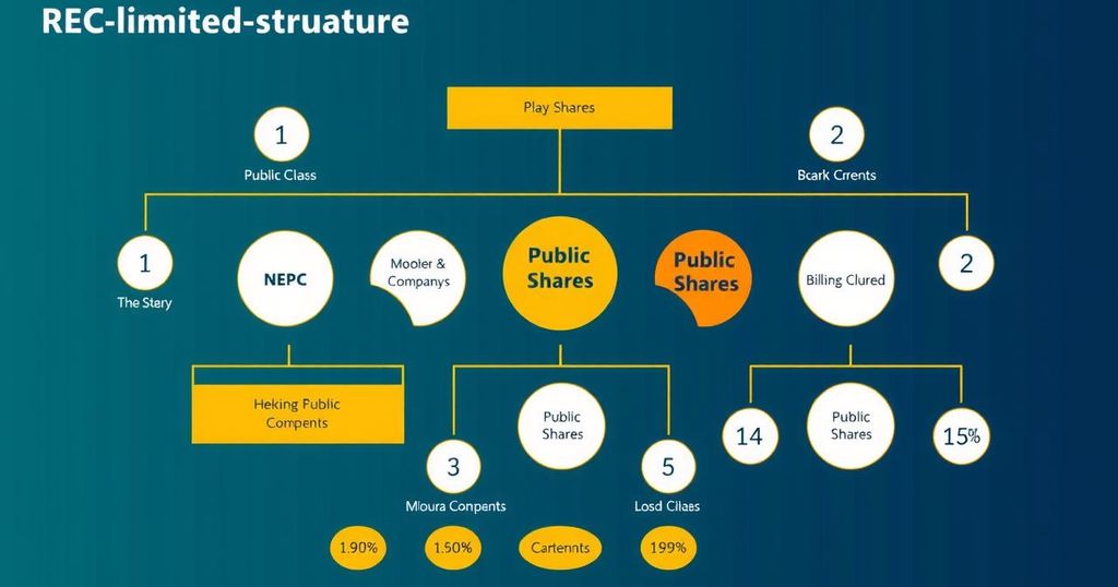 Ownership Structure and Its Implications at REC Limited (NSE: RECLTD)